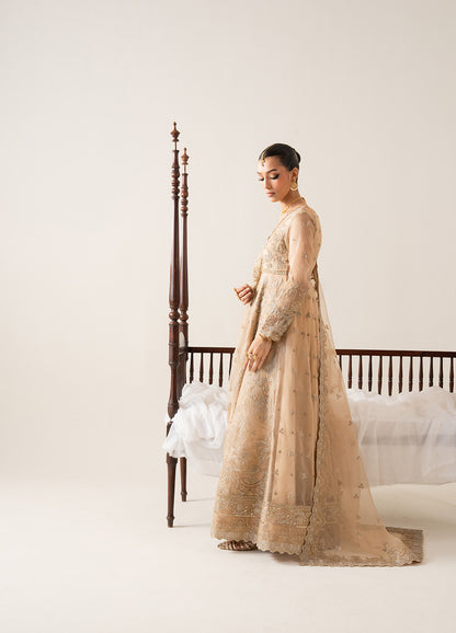 3 Piece Embroirdered Chiffon INÈS - FS50132