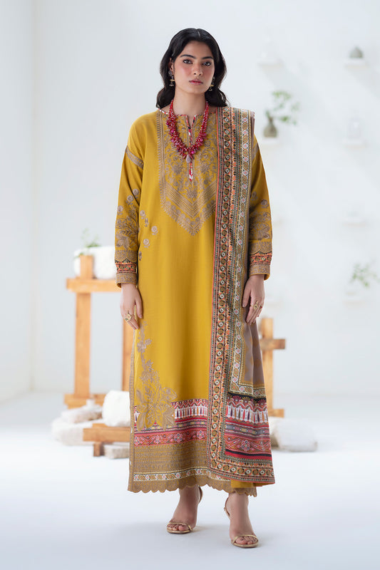 3 Piece Embroidered Khaddar APANA - FSU5671